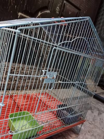 Birds Cage For Sale