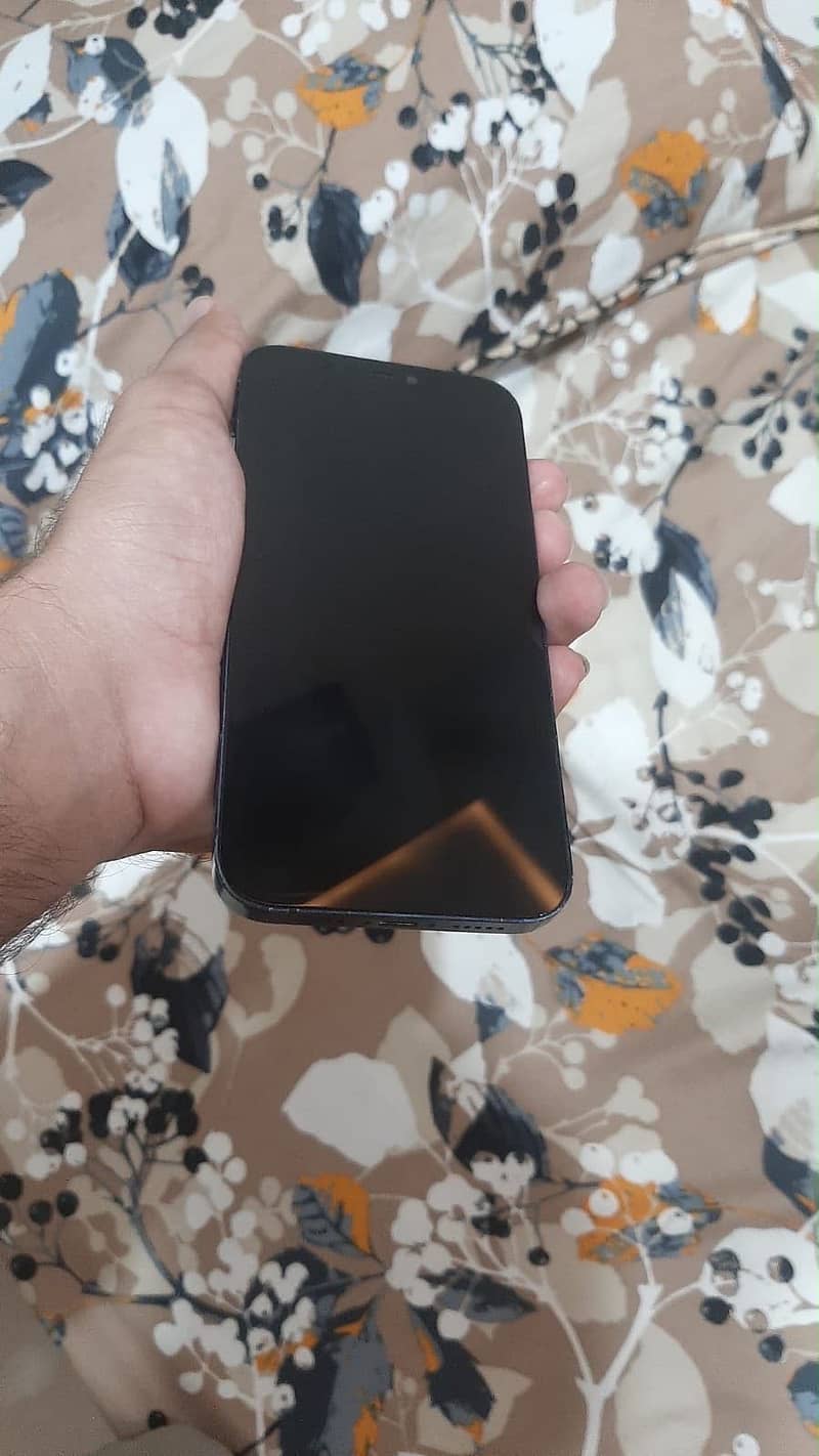 Apple iPhone 12 1