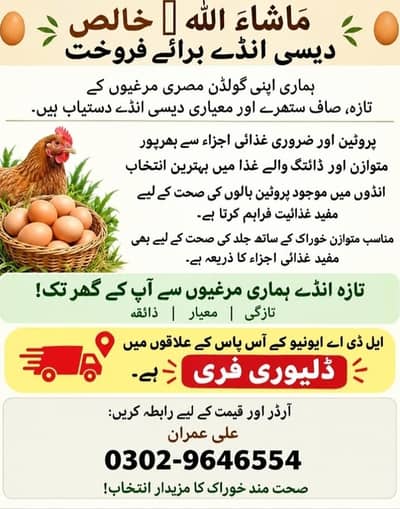 Desi eggs
