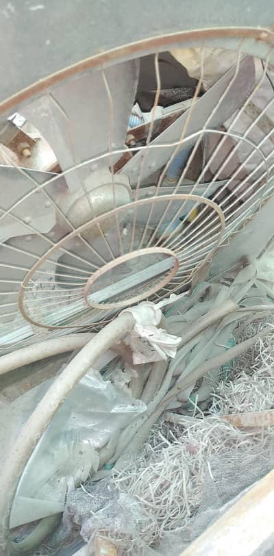 Lahorei cooler
