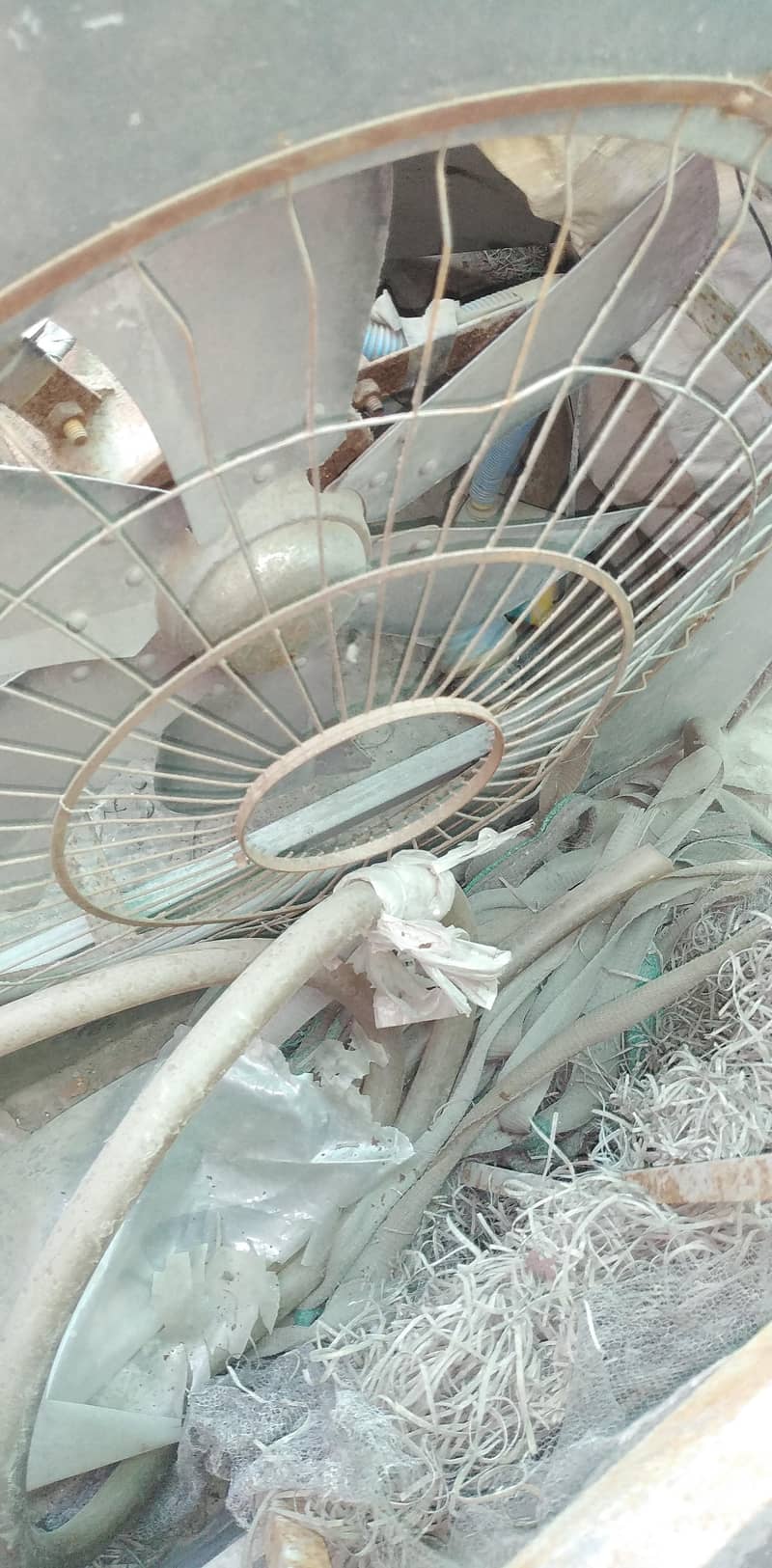Lahorei cooler 0