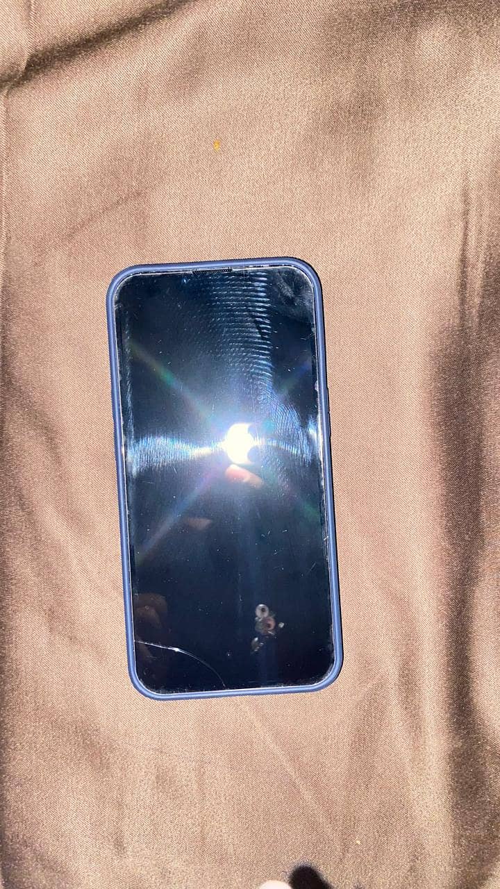 Apple iPhone 13 0