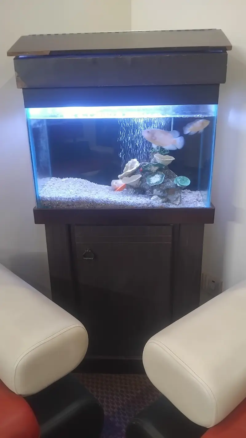Aquarium complete setup