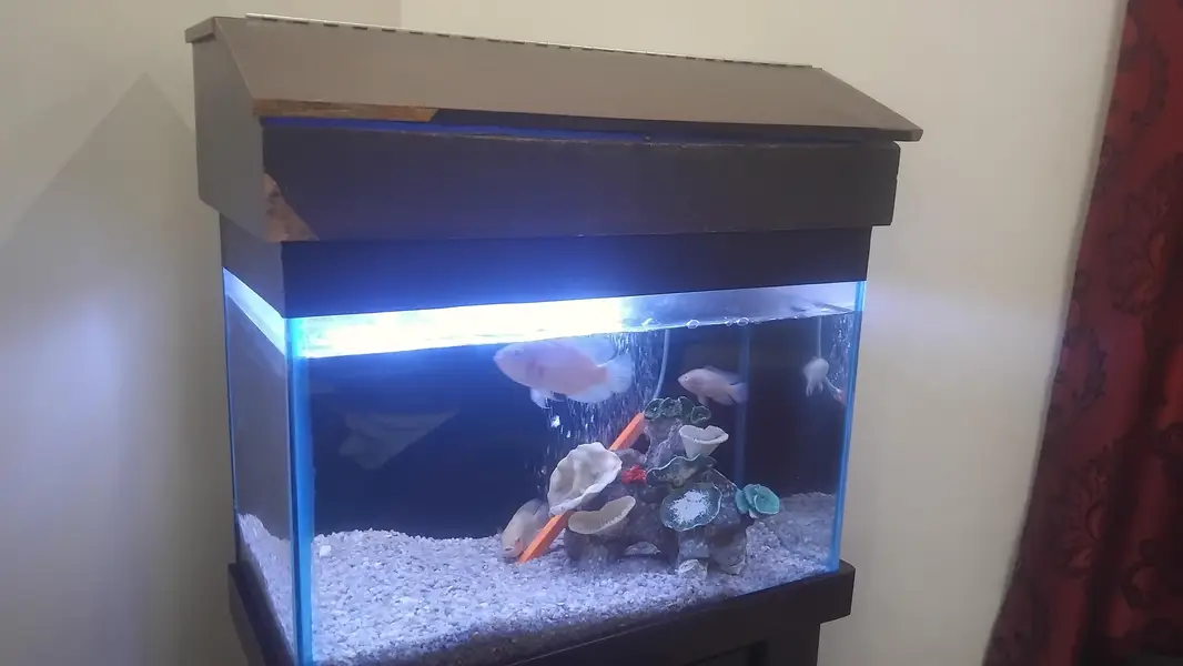 Aquarium complete setup — photo 3