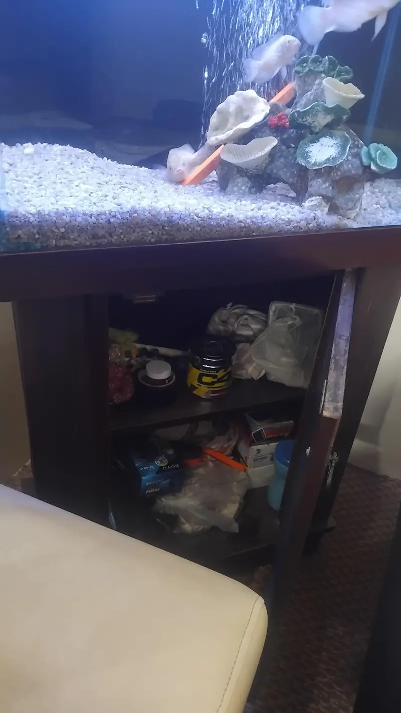 Aquarium complete setup — photo 4