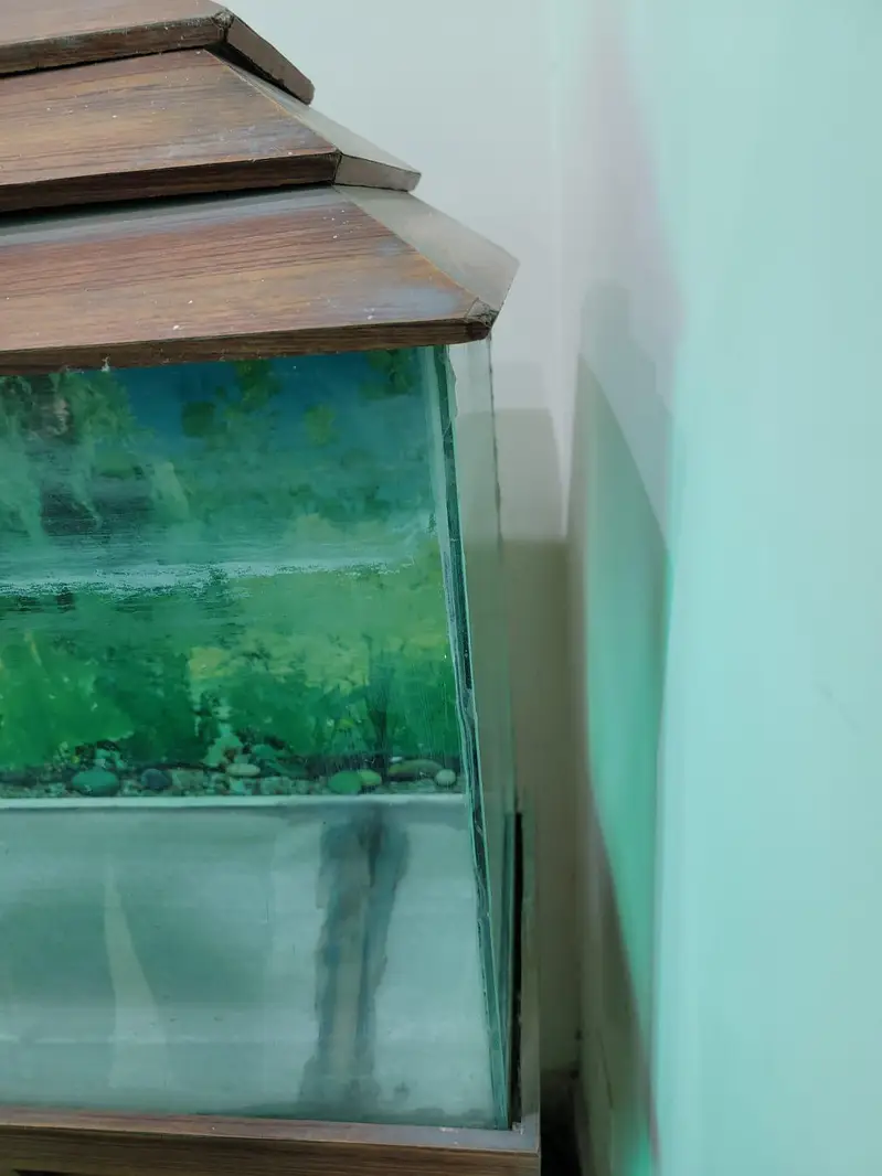3ft Fish Aquarium Available for Sale — photo 2