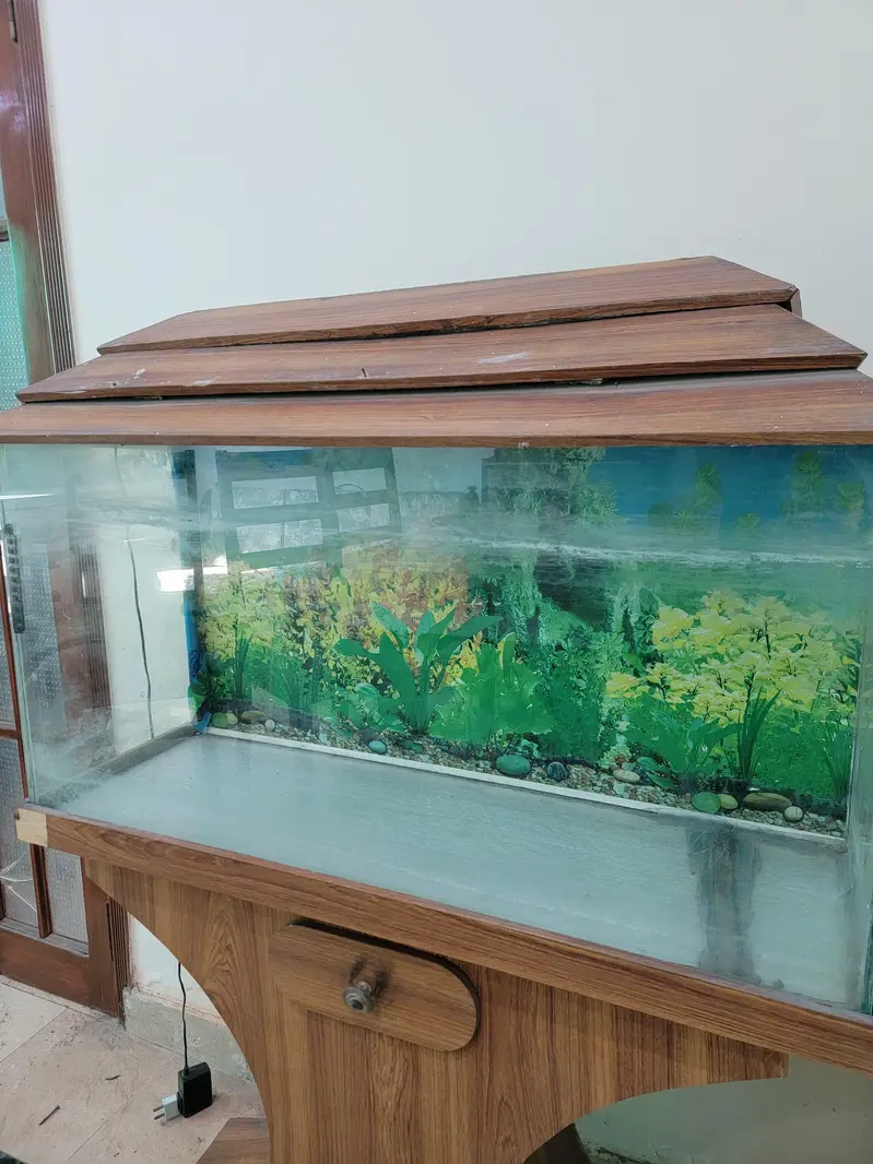 3ft Fish Aquarium Available for Sale — photo 5