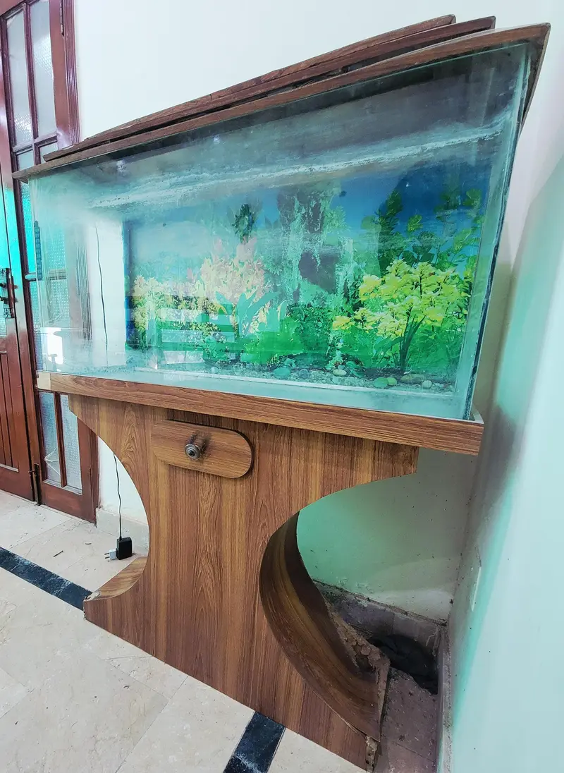 3ft Fish Aquarium Available for Sale — photo 6