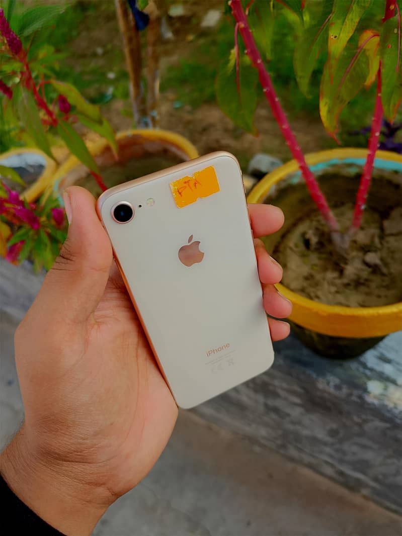 Apple iPhone 8 3