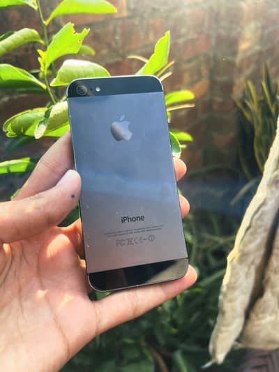 Apple iPhone 5