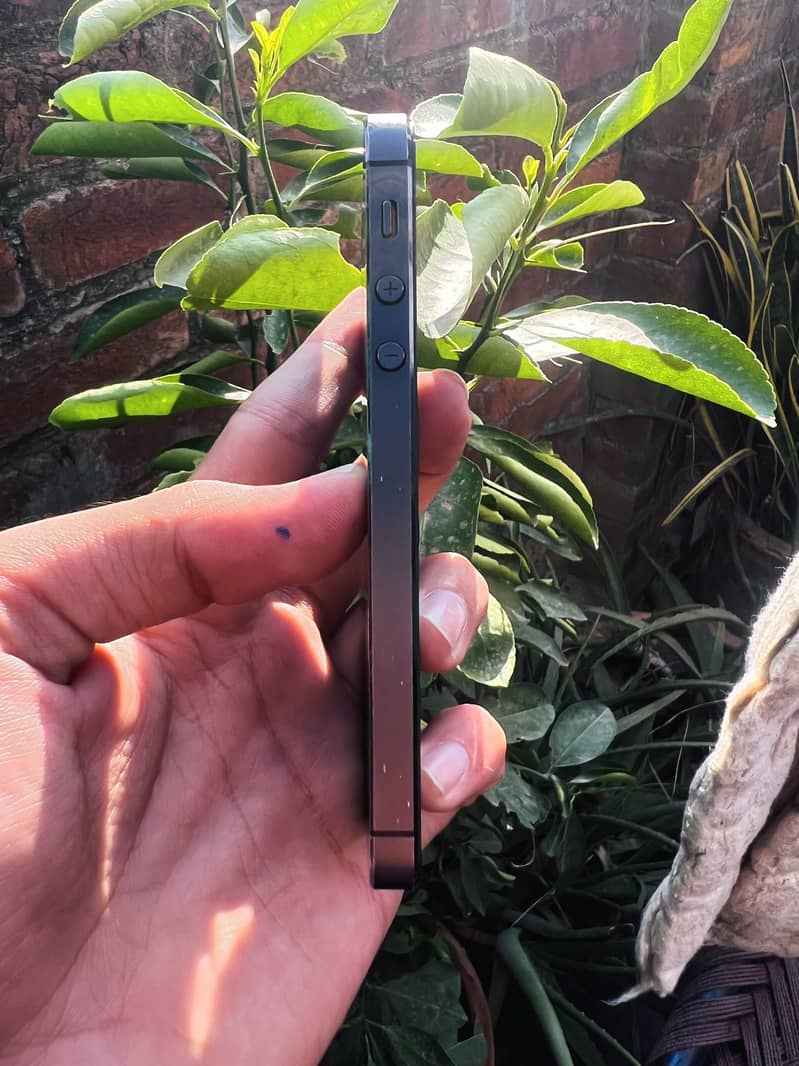 Apple iPhone 5 2