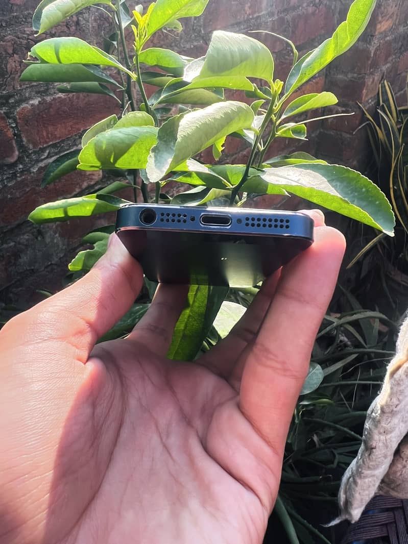 Apple iPhone 5 3
