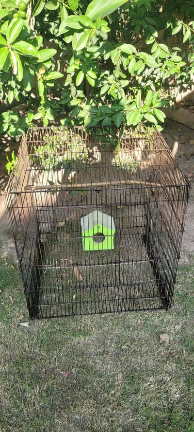 Parrots Cage - 2 x 2 (Large)