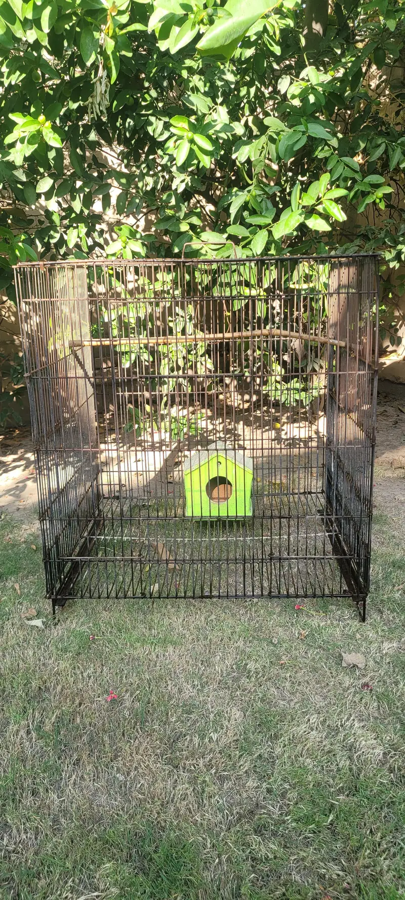 Parrots Cage - 2 x 2 (Large) — photo 2