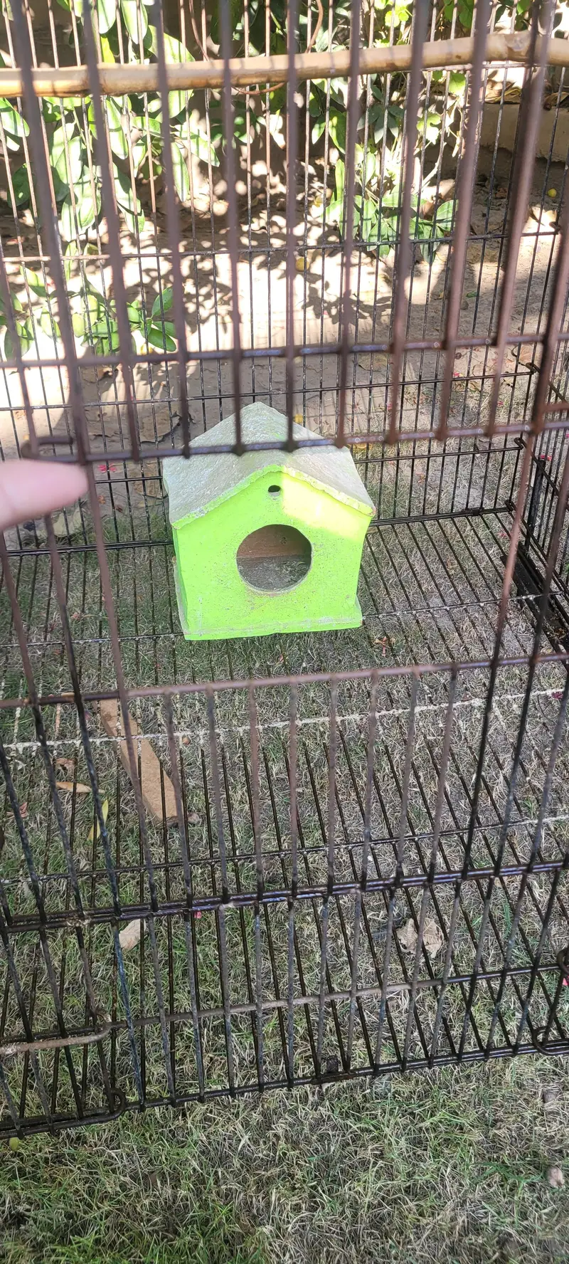 Parrots Cage - 2 x 2 (Large) — photo 3