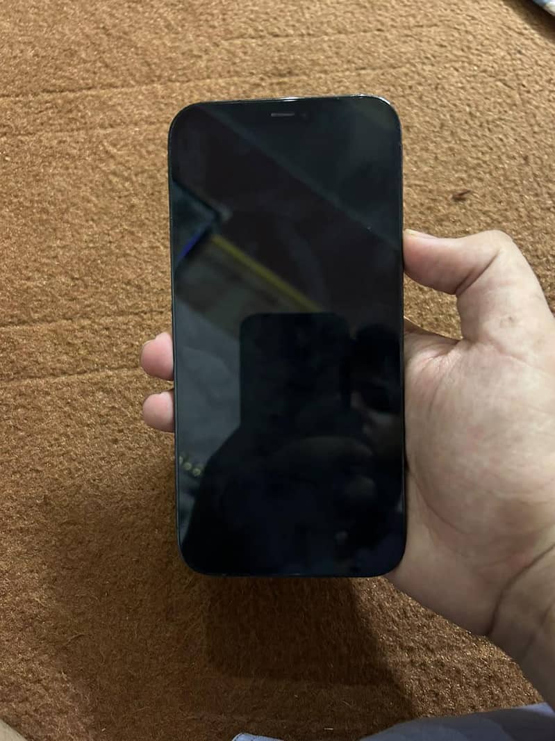 Apple iPhone 12 Pro Max 0