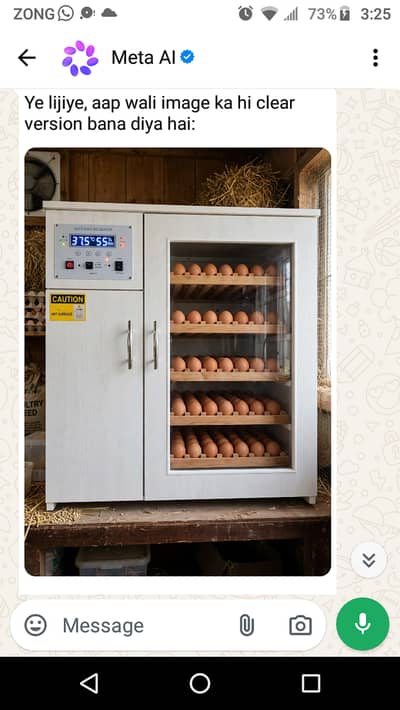 Automatic incubator