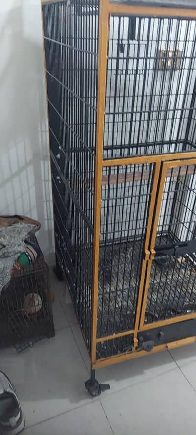 iron cage