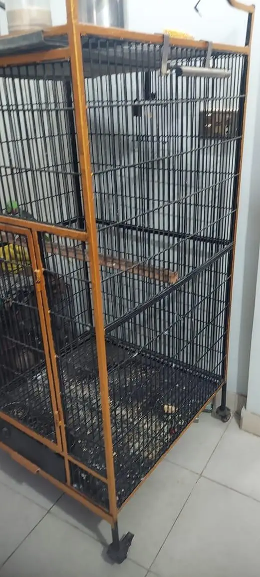 iron cage — photo 2