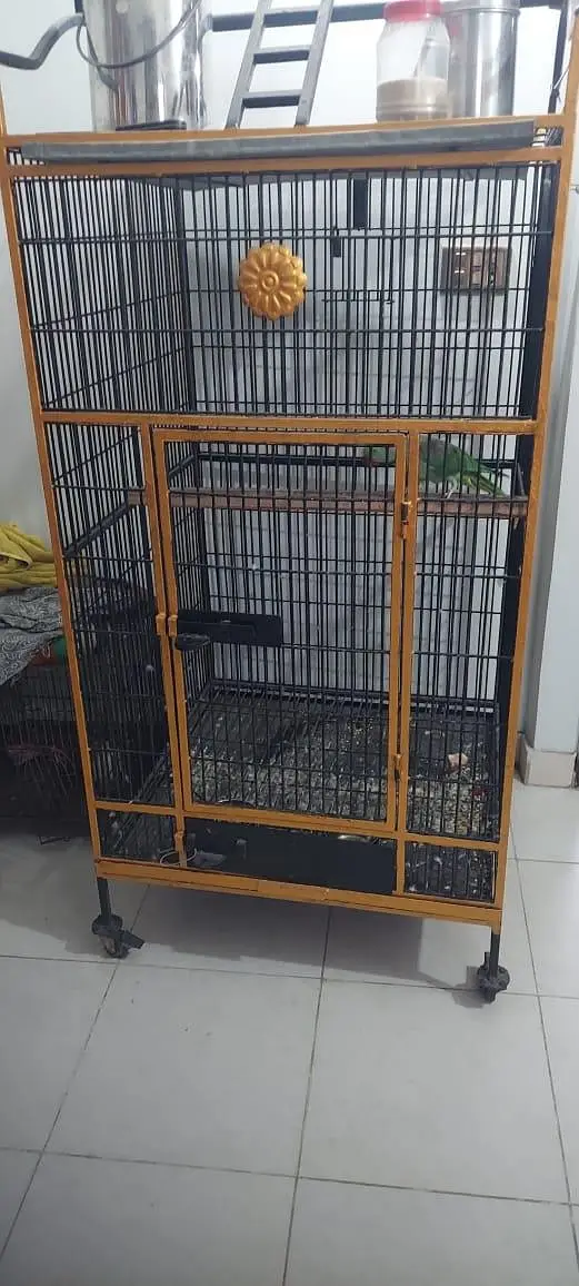 iron cage — photo 3