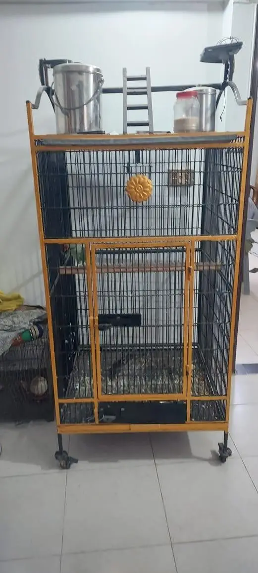 iron cage — photo 4