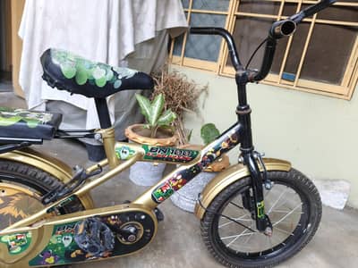 BN 100 cycle