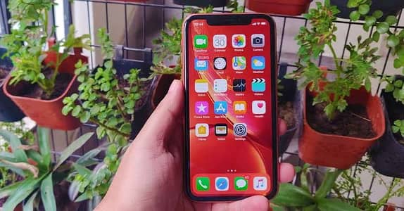 Apple iPhone XR