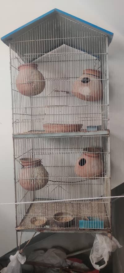 2 cages big