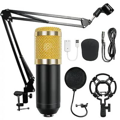 Custom-Built Studio Condenser Microphone