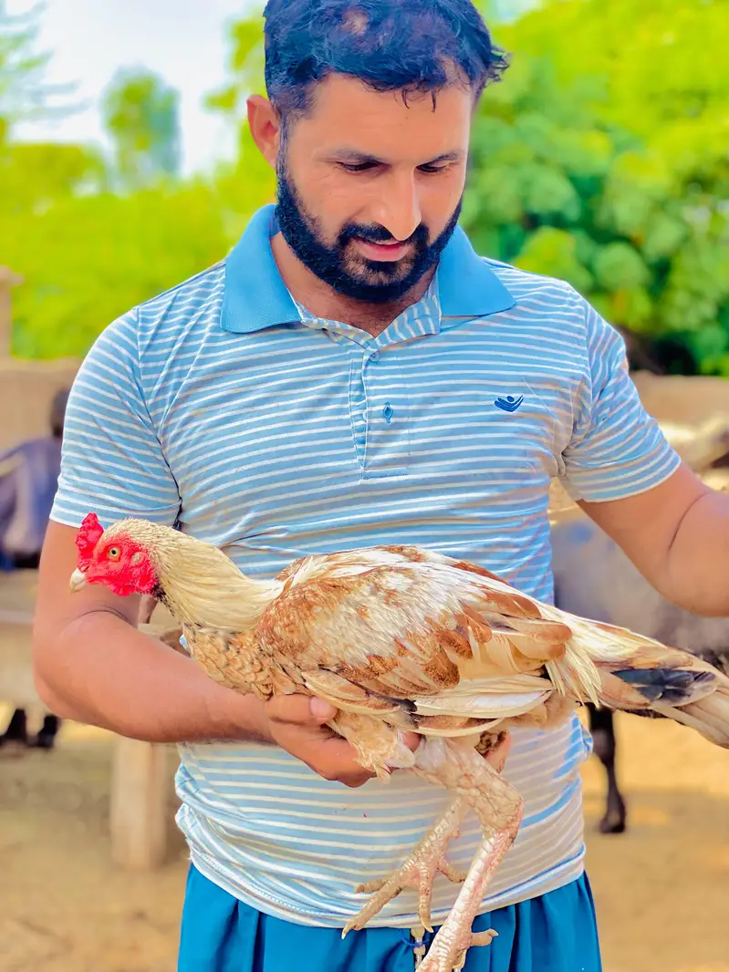 bohat acha fes he — photo 2