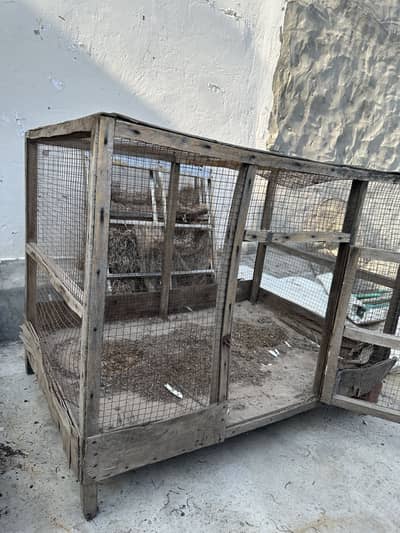 Hens cage pinjara