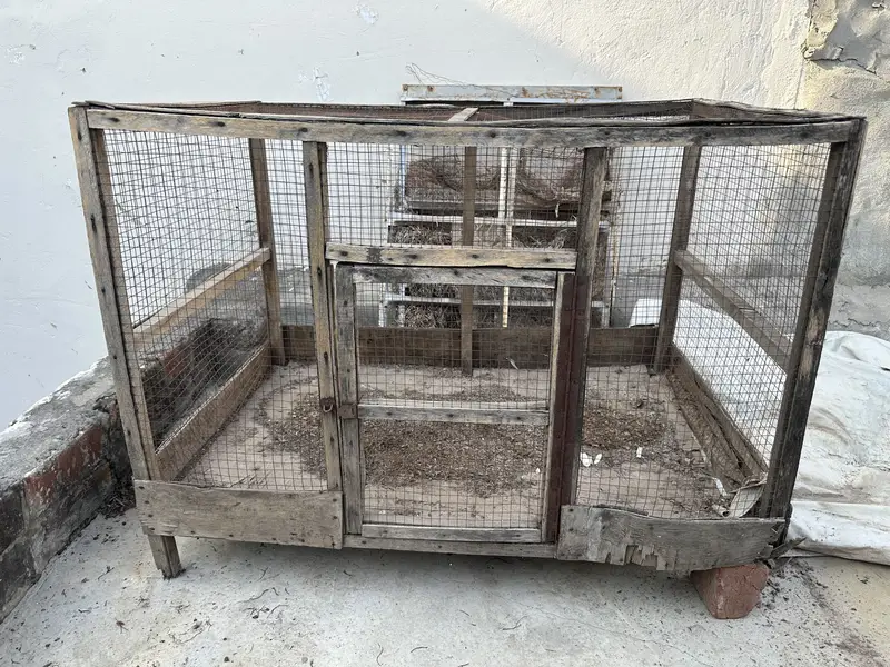 Hens cage pinjara — photo 2