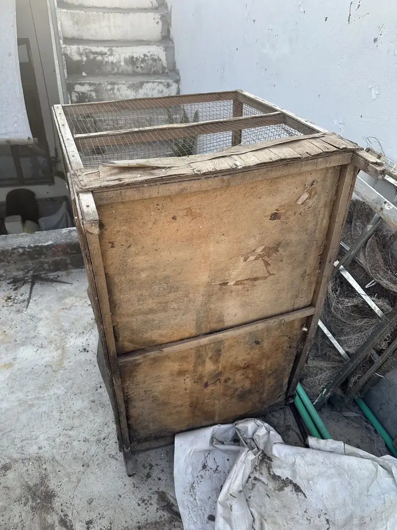 Hens cage pinjara — photo 3