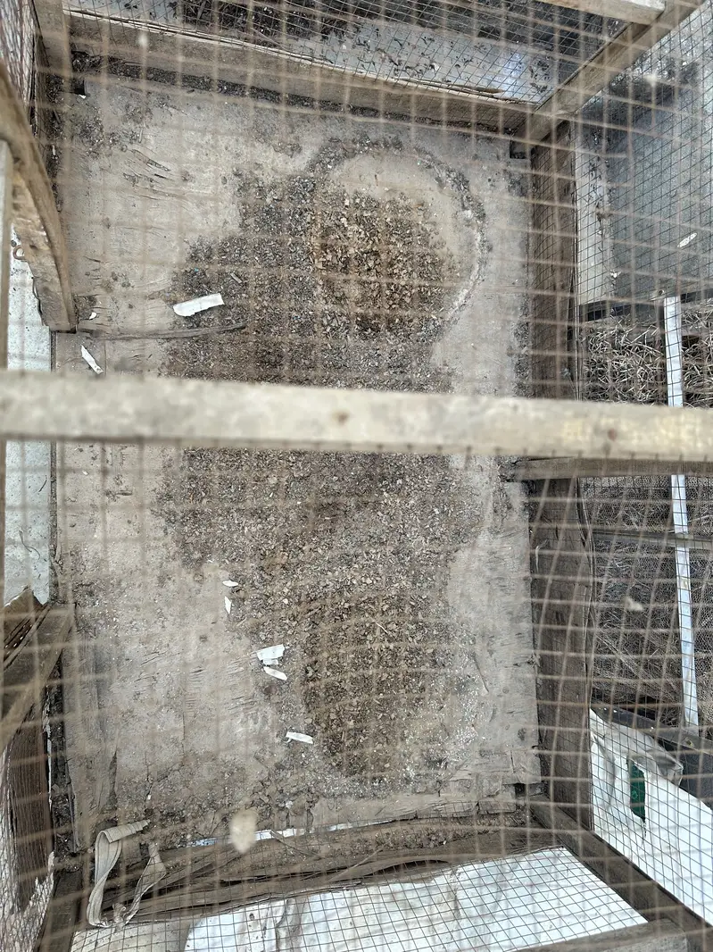 Hens cage pinjara — photo 4