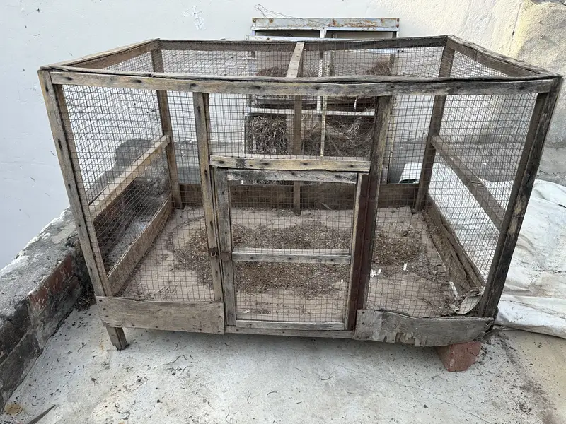 Hens cage pinjara — photo 5