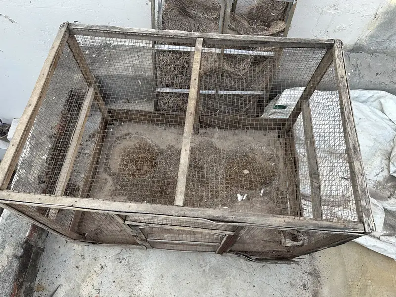 Hens cage pinjara — photo 6