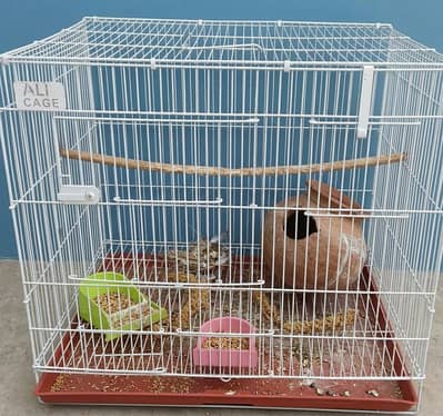 used cages