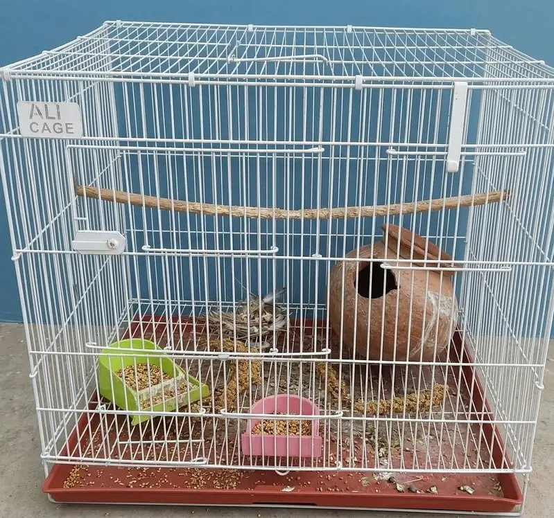 used cages