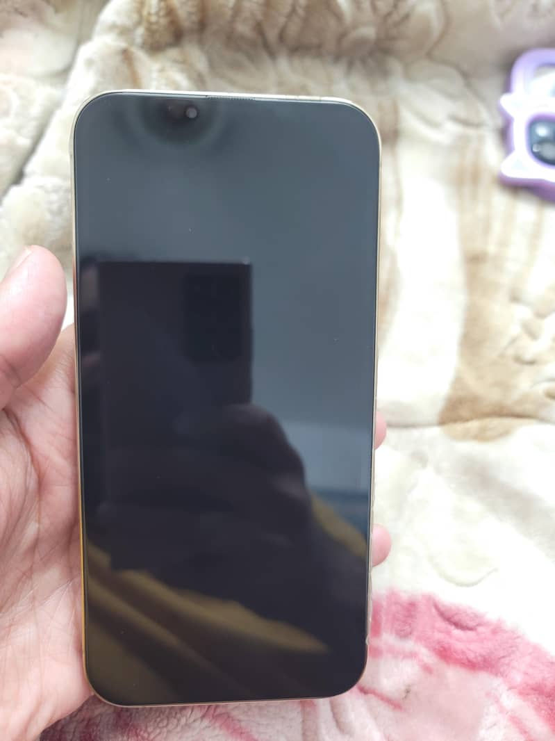 Apple iPhone 13 Pro Max 1
