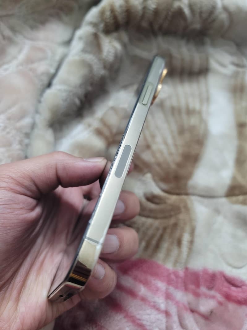 Apple iPhone 13 Pro Max 2