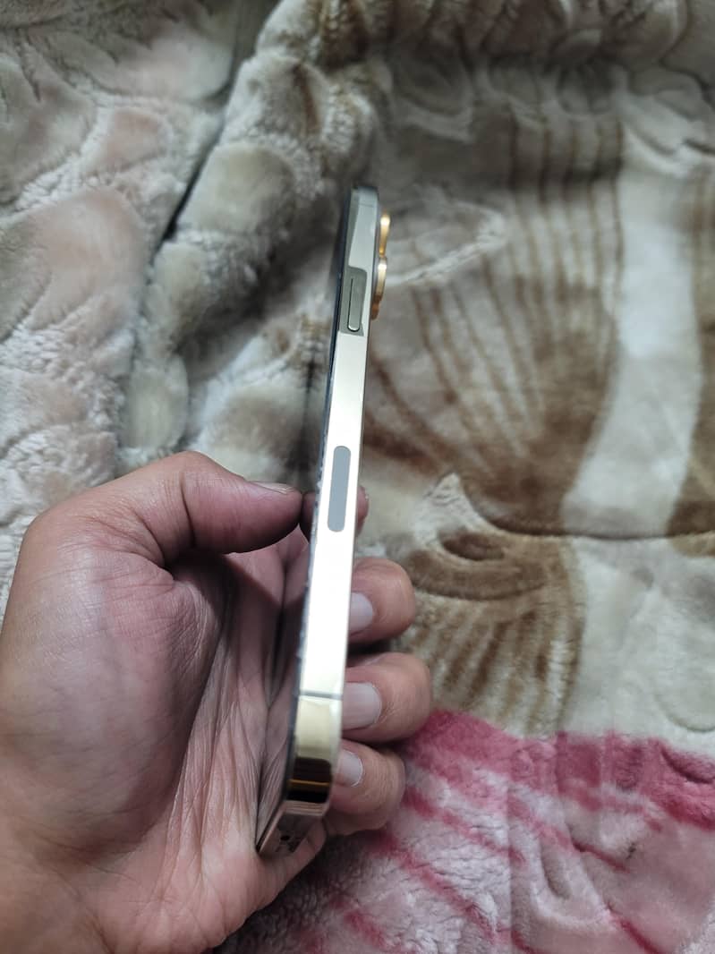 Apple iPhone 13 Pro Max 3