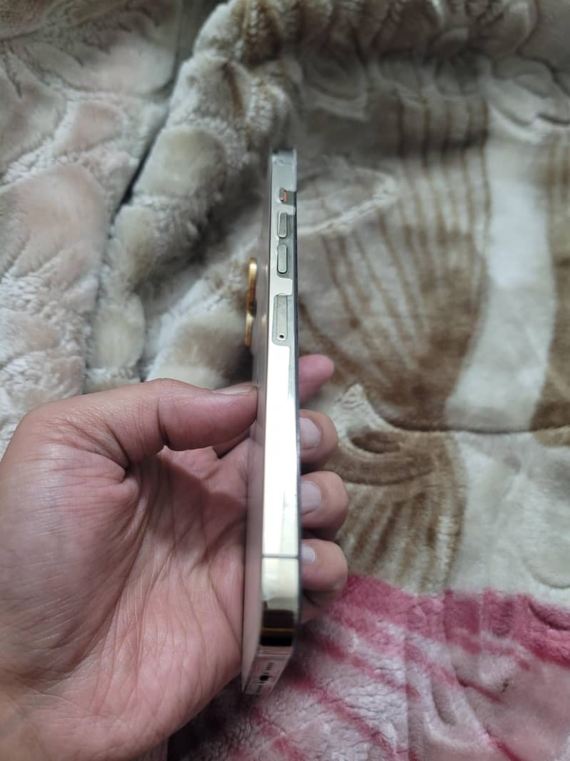 Apple iPhone 13 Pro Max 4