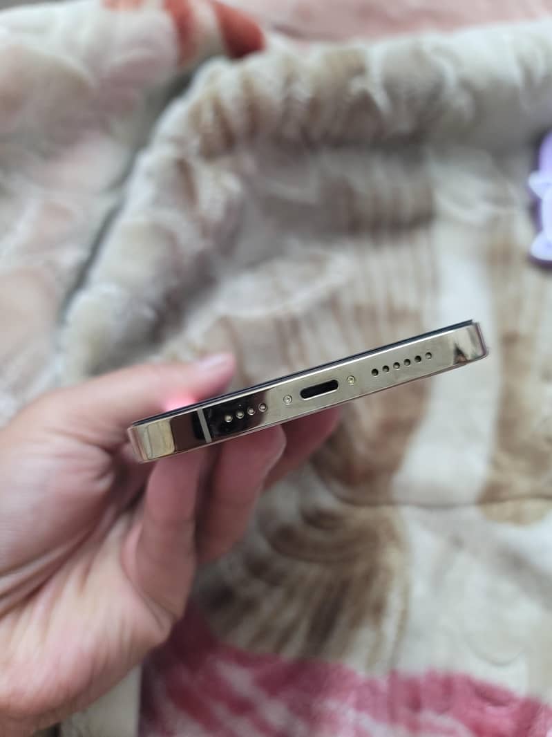 Apple iPhone 13 Pro Max 7