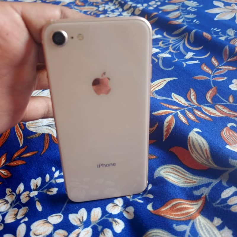 Apple iPhone 8 6