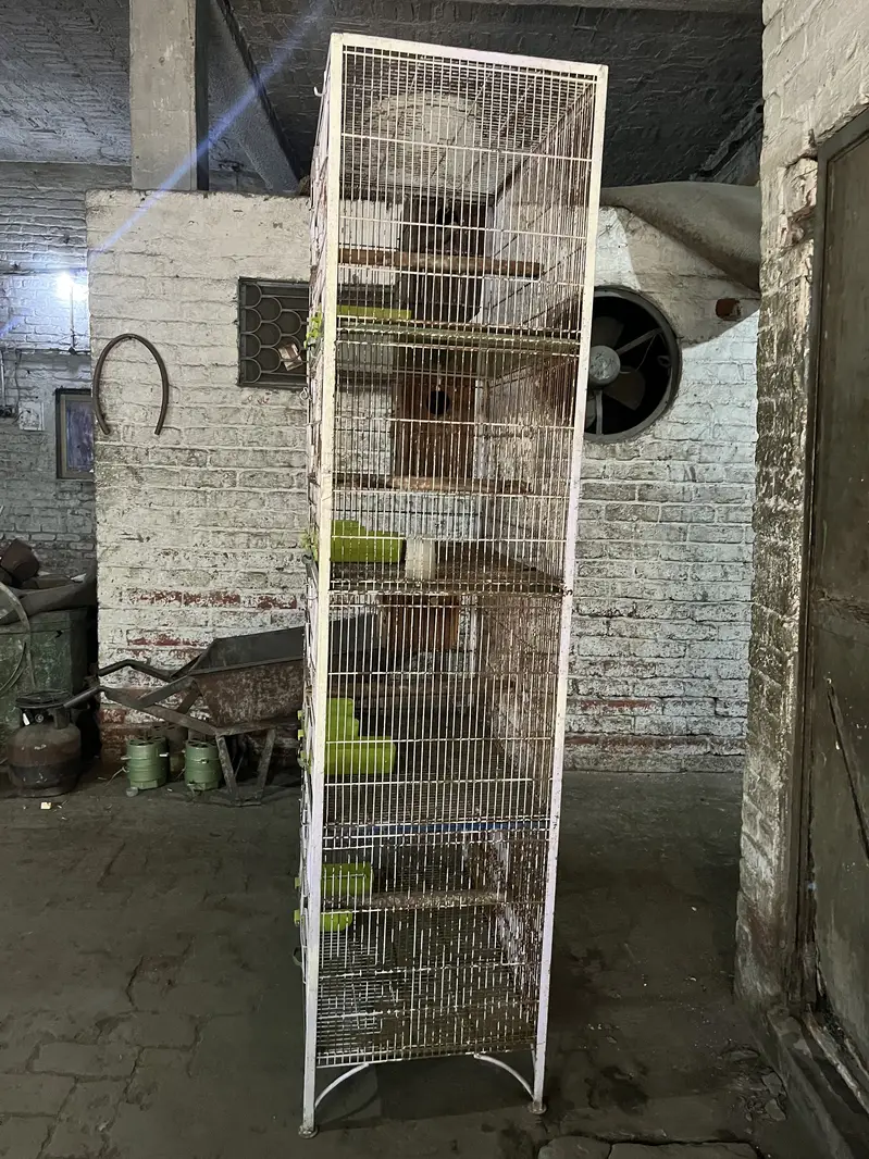 Parrots Cage for sale 4 portions cage parrots with all accessories — photo 2