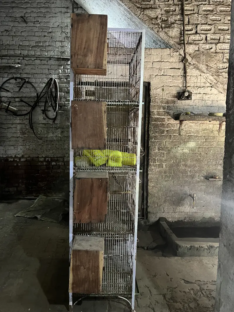 Parrots Cage for sale 4 portions cage parrots with all accessories — photo 3