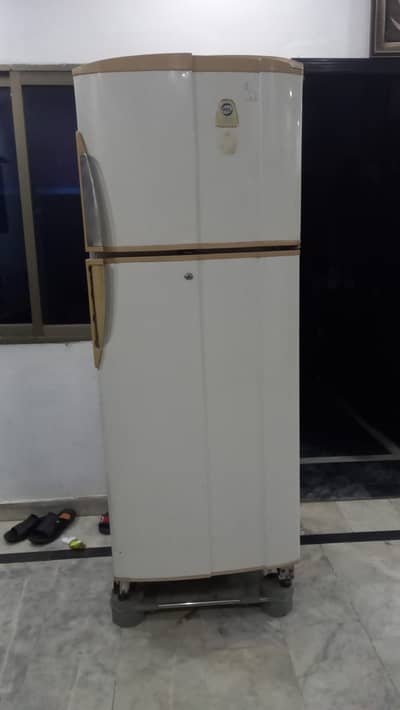 PEL Double Door Refrigerator – Genuine Condition | Never Repaired |