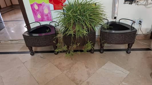 Planters - Plant pots - Indoor wooden plan pots for sale