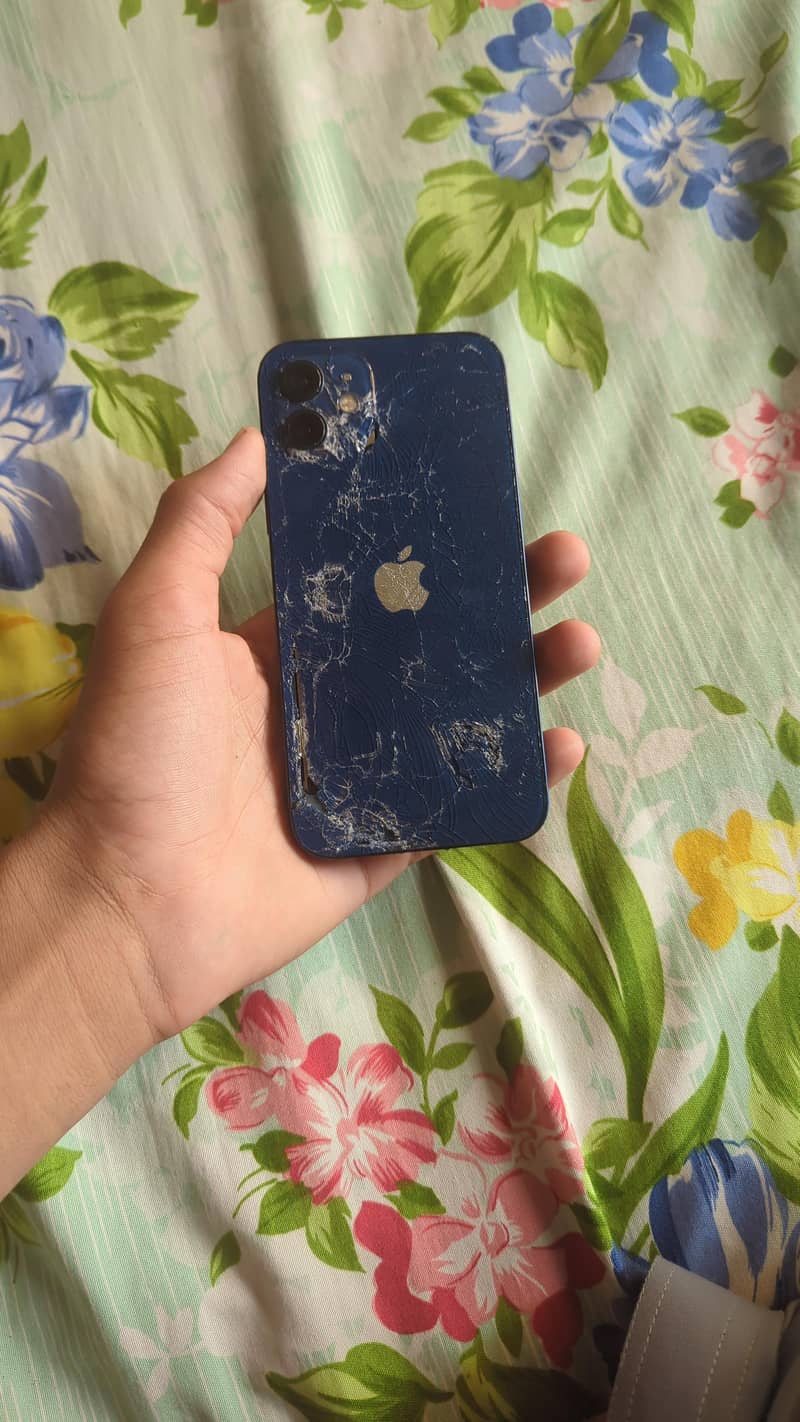 Apple iPhone 12 0