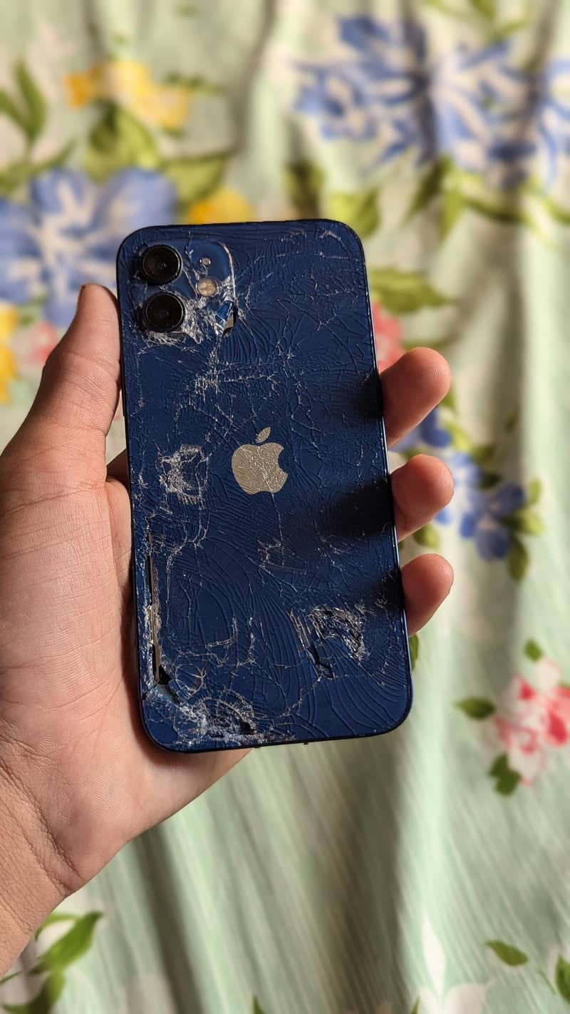 Apple iPhone 12 1